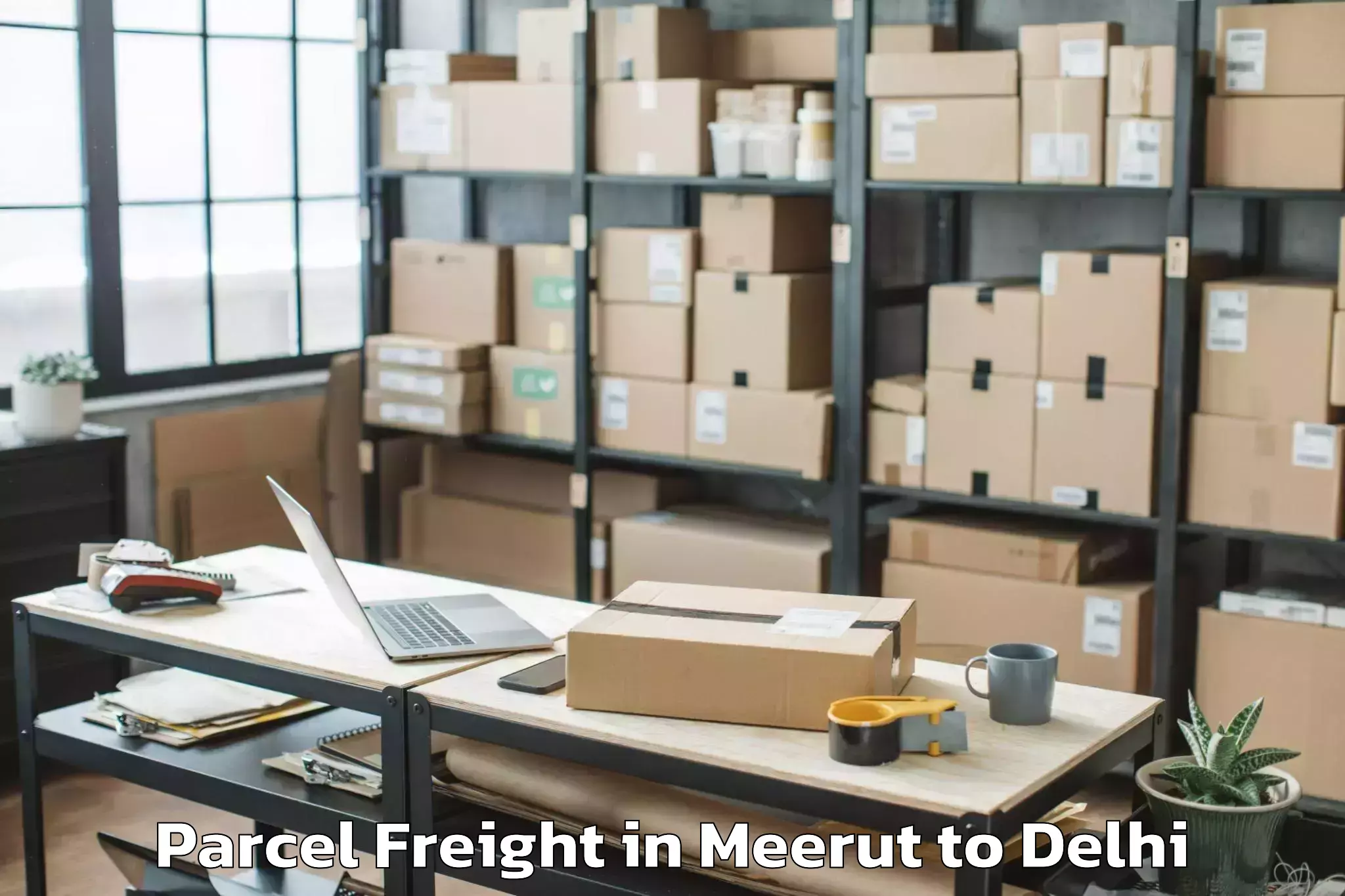 Trusted Meerut to Ambience Mall Rohini Parcel Freight